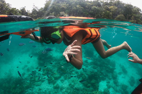 Inselhopping auf Coron: Super Ultimative private Tour