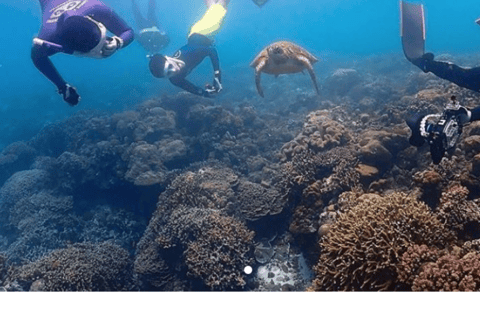 Cebu city to Pescador Island & Kawasan Canyoneering Tour