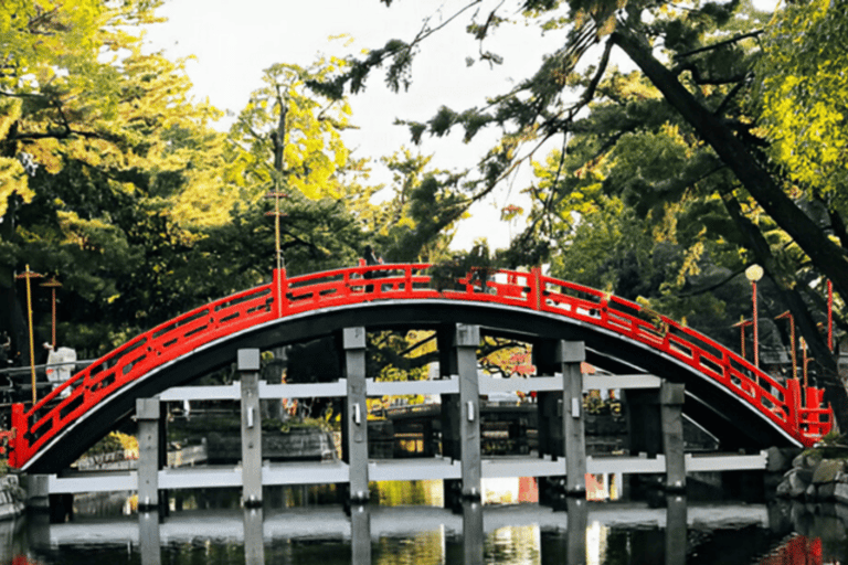 Osaka: Tour particular personalizável com motorista que fala inglês