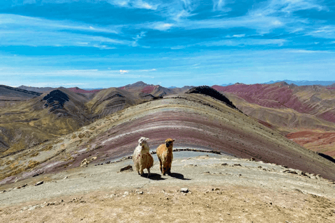 Palcoyo Mountain Excursion: Full-Day Private Tour Palcoyo Mountain Excursion Full Day Private Tour