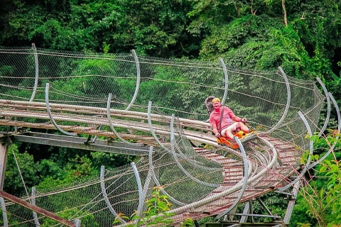 Chiang Mai: Pongyang Jungle Coaster & ZiplinePakiet B z transferem