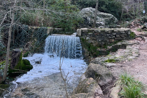 Montpellier: Guided Ride to the Source of the Avy by Electric Bike Montpellier: Guided Ride to the Source of the Avy by E-Bike
