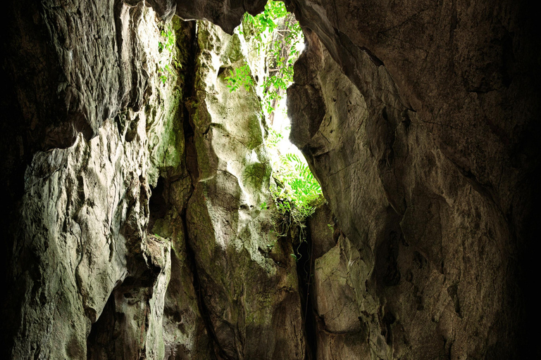 Da Nang stadsvandring halvdagsutflykt