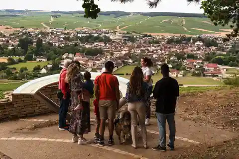 Chablis: Besuch des Grand Cru Weinbergs