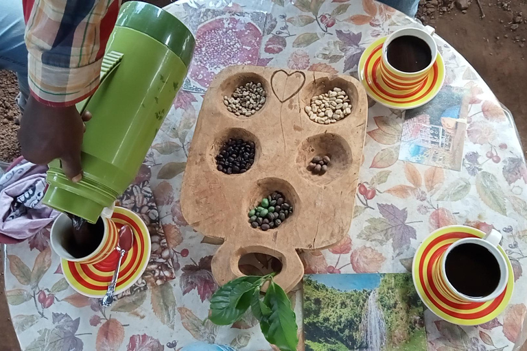 1 Day Private Cultural tour to Materuni Waterfalls & Chemka