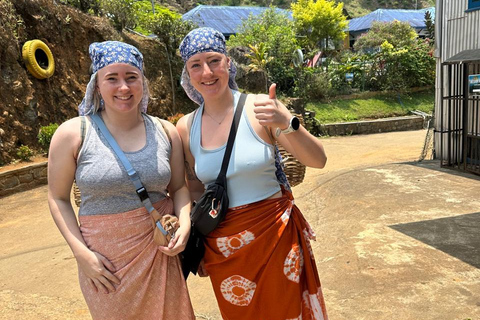 CMB/Negombo: Sigiriya, Kandy & Ella Private Tour with Driver Private Van with Driver – Up to 50 km
