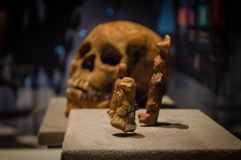 EXKLUSIVE TEMPLO MAYOR TOUR in CDMX - kleine GruppenTour zum Templo Mayor in CDMX