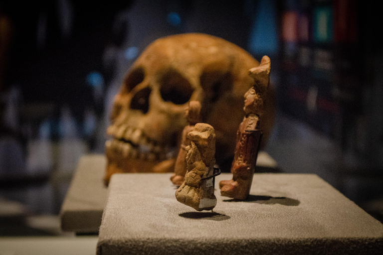 Tour to Templo Mayor in CDMX Tour to Templo Mayor in CDMX