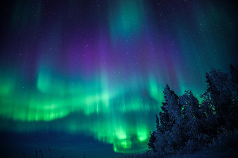 Levi: Aurora Borealis Tracking, Learning, & Photography Tour