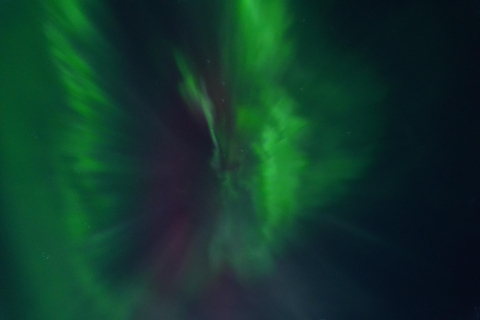 From Kiruna: Abisko National Park Northern Lights Tour