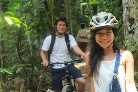 Ubud : Excursion à vélo en descente depuis Kintamani