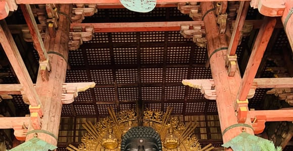 Von Osaka: Private Tour nach Nara mit Abholung von deinem Hotel