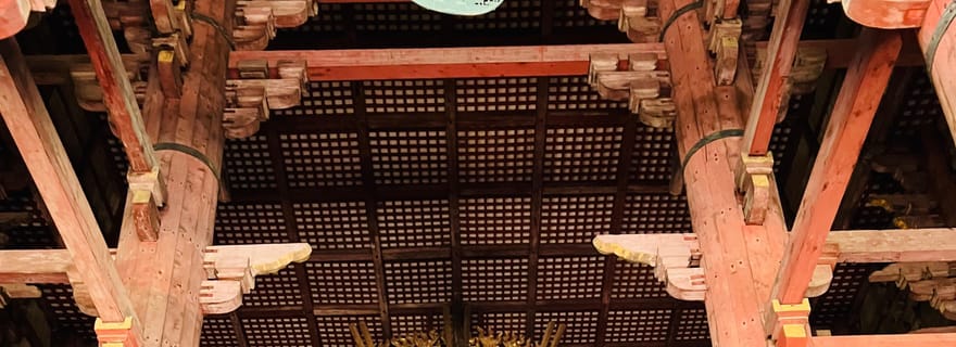 Au départ d'Osaka : visite privée de Nara avec rendez-vous à votre hôtel