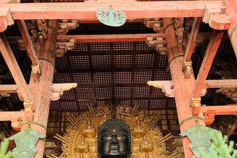 De Kyoto: Tour particular de carro em Nara com serviço de busca no hotel