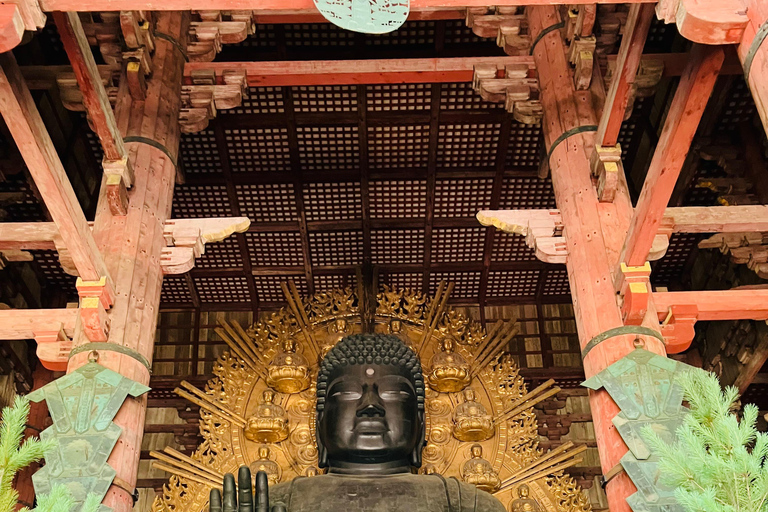 De Kyoto: Tour particular de carro em Nara com serviço de busca no hotel