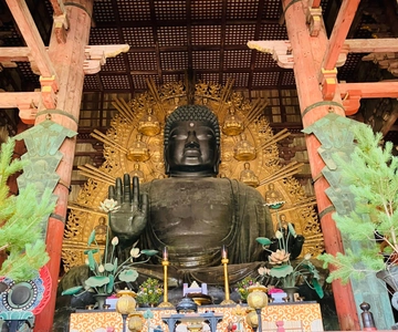 京都発：奈良プライベートツアー（ホテル送迎付き）