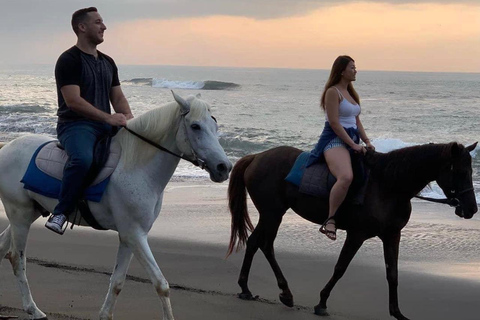 Seminyak: Bali Horse riding Adventure Seminyak Beach 1 Hour ride (meet at meeting point)
