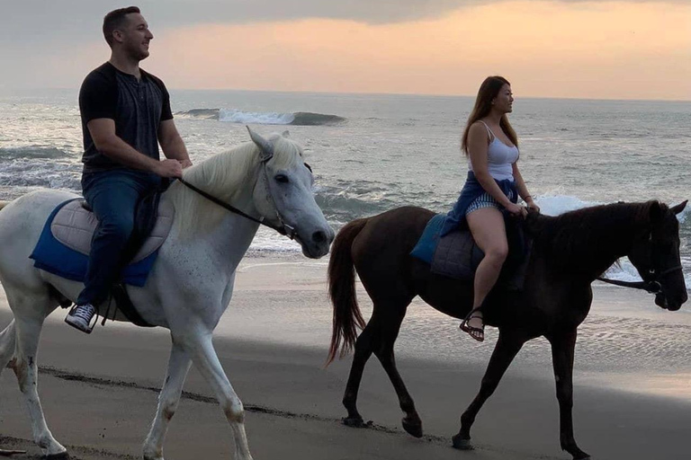 Seminyak: Bali Horse riding Adventure Seminyak Beach 1 Hour ride (meet at meeting point)