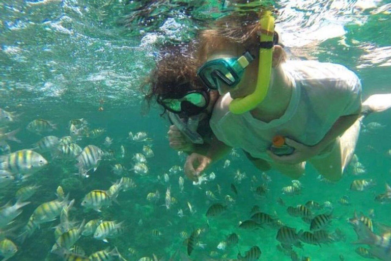 蓬塔卡纳：快艇和浮潜之旅蓬塔卡纳：私人快艇和浮潜之旅