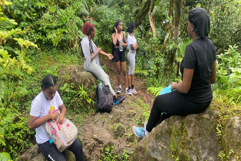 São Cristóvão: Caminhada no Monte Liamuiga