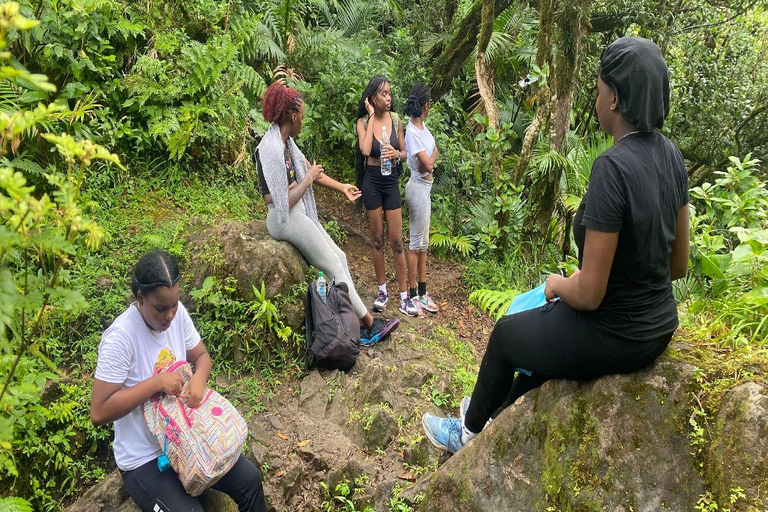 St. Kitts: Berg Liamuiga Wanderung