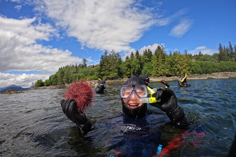 Ketchikan, Alaska: The Mountain Point Snorkeling Adventure Ketchikan, Alaska: Snorkeling Tour all inclusive. 3 Hours.