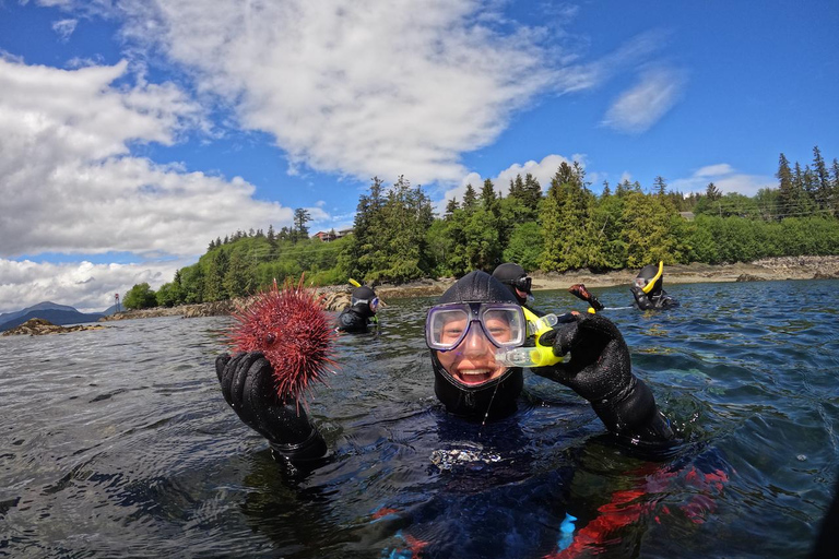 Ketchikan, Alaska: The Mountain Point Snorkeling Adventure Ketchikan, Alaska: Snorkeling Tour all inclusive. 3 Hours.