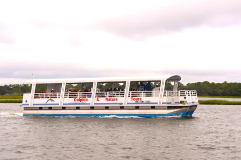 Hilton Head Island: Sunset Dolphin Watching Cruise