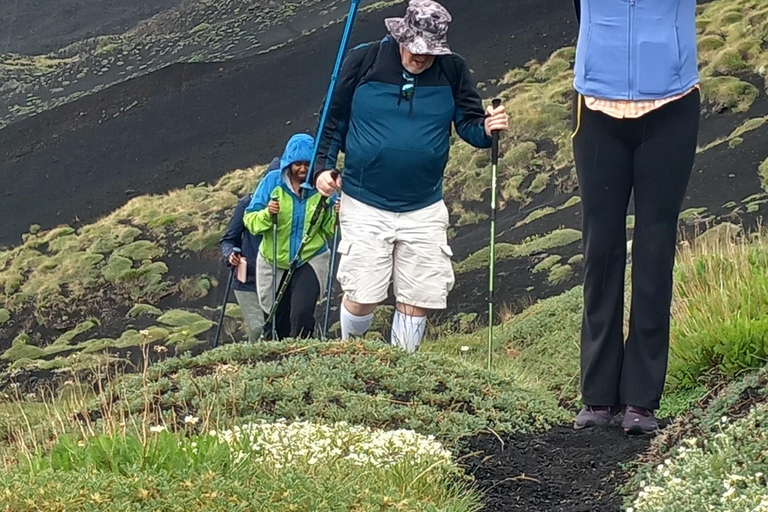 Etna day trip from Siracusa. Trek, wine and food included