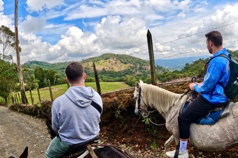2-hour horseback riding + Private transportation + Photos & videos + Gift for the first 5 to book 2-hour horseback ride + private transportation + photos & videos + gift for the first 5 to book.