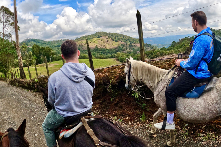 2-hour horseback riding + Private transportation + Photos & videos + Gift for the first 5 to book 2-hour horseback ride + private transportation + photos & videos + gift for the first 5 to book.