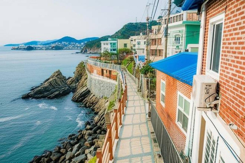 Busan: Customized Private Car Tour City Sights&Local Gems Pick-up anywhere in Busan