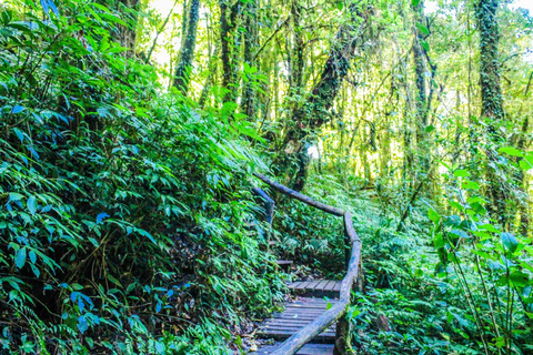 Chiang Mai: Doi Inthanon, Wasserfälle & Stammesdörfer Tour