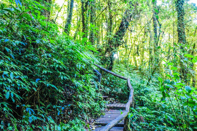 Chiang Mai : Doi Inthanon, chutes d'eau et villages tribaux