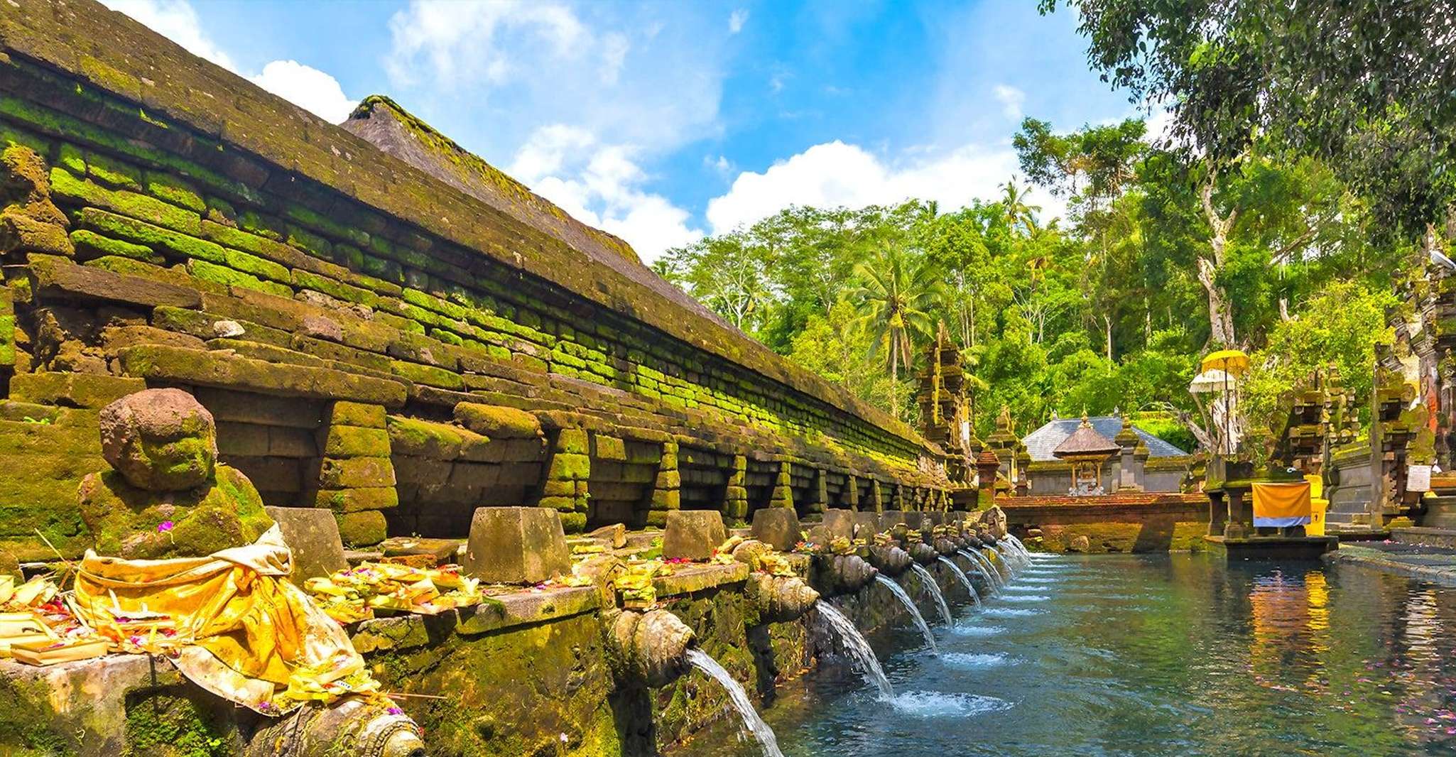 Visites d'une journée sur mesure Ubud-Fully - Hizvo