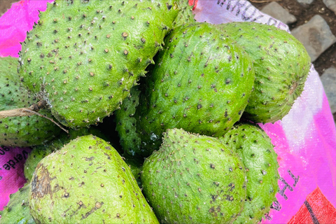 Poznaj największą plantację bananów na Cabo Verde