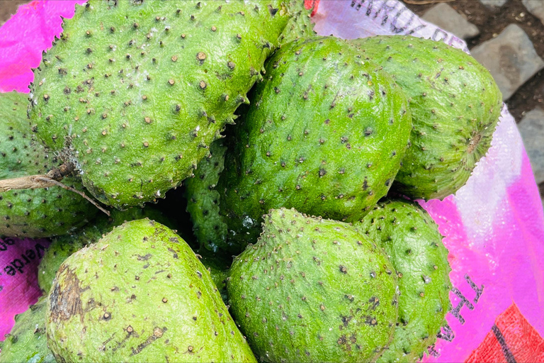 Poznaj największą plantację bananów na Cabo Verde