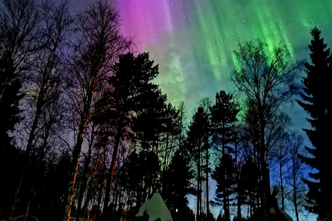 Rovaniemi: tour fotografico e di caccia all'aurora