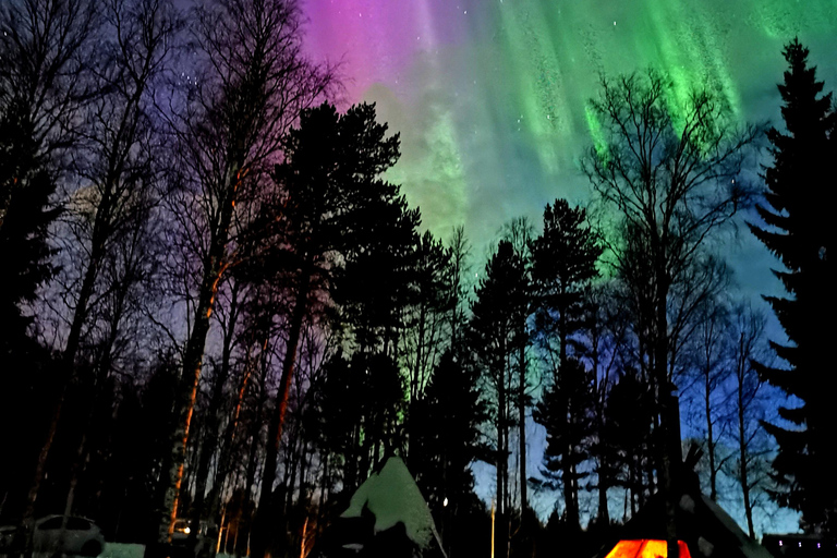 Rovaniemi: Aurora Hunting &amp; Photography Tour