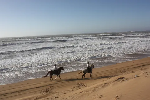 Essaouira: 3-Hour Horse Ride and Berber Tent Overnight
