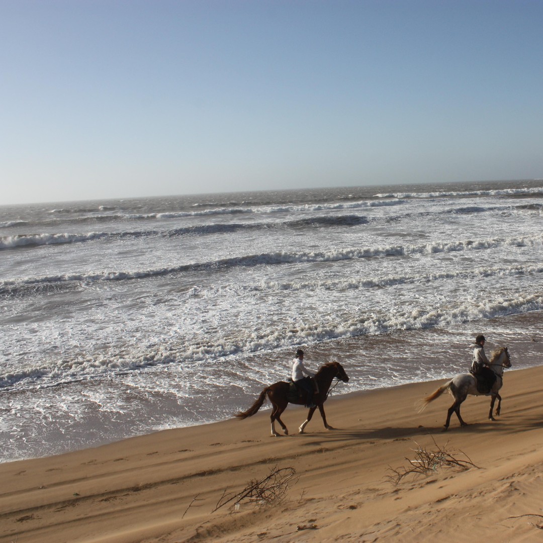 Essaouira : 3 heures de cheval et nuit sous tente berbère - equitation