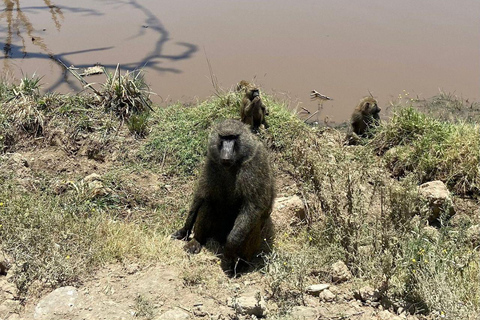 Nairobi: Lake Nakuru National Park and Lake Naivasha Tour
