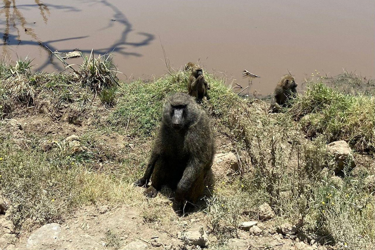 Nairobi: Lake Nakuru National Park and Lake Naivasha Tour