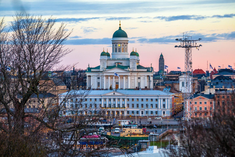 De Tallinn: Viagem de 1 dia a Helsínquia com ferry, guia e carro VIP