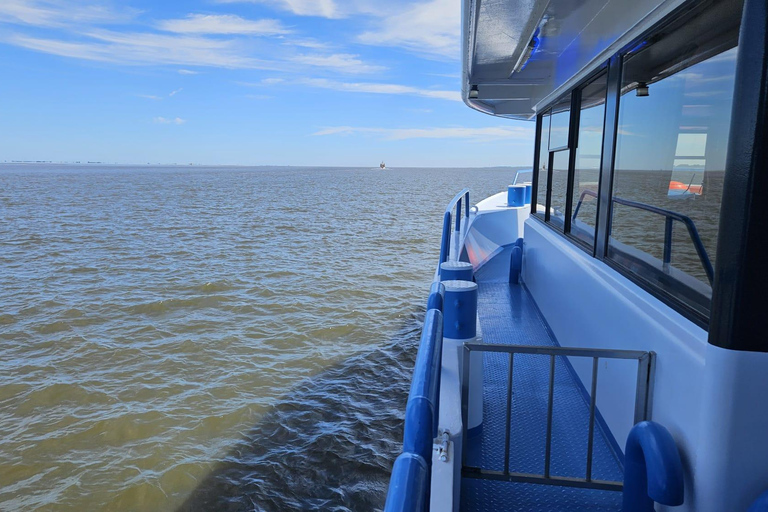 Cuxhaven: Boat tour to the seal banks in the Wadden Sea National Park
