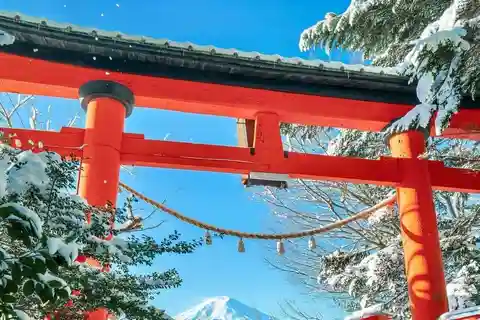 From Tokyo: Mount Fuji Private Tour With English speaking Dr