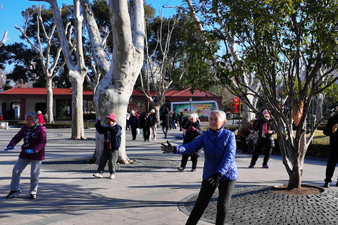 Shanghai: Tai Chi, Pulse Reading, and TCM Wellness Tour
