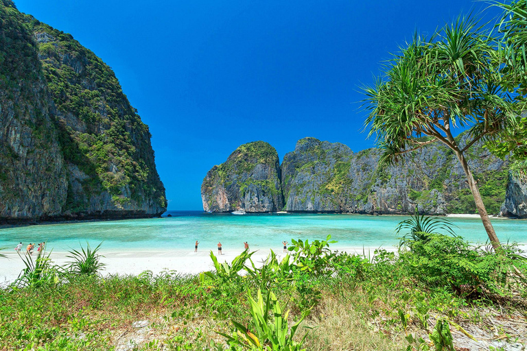 Phuket/Khao Lak: Premium Powercat to Phi Phi & Khai Islands Hotel pickup from Phuket