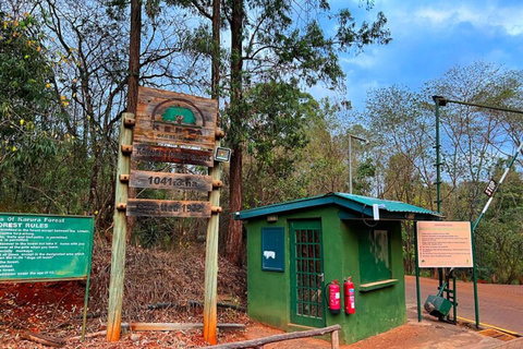Nairobi: Karura Forest Storytelling & Mau Mau Heritage Walk
