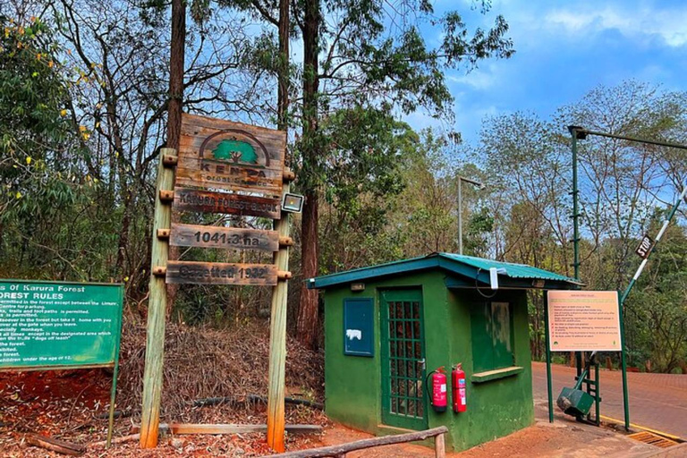 Nairobi: Karura Forest Storytelling & Mau Mau Heritage Walk